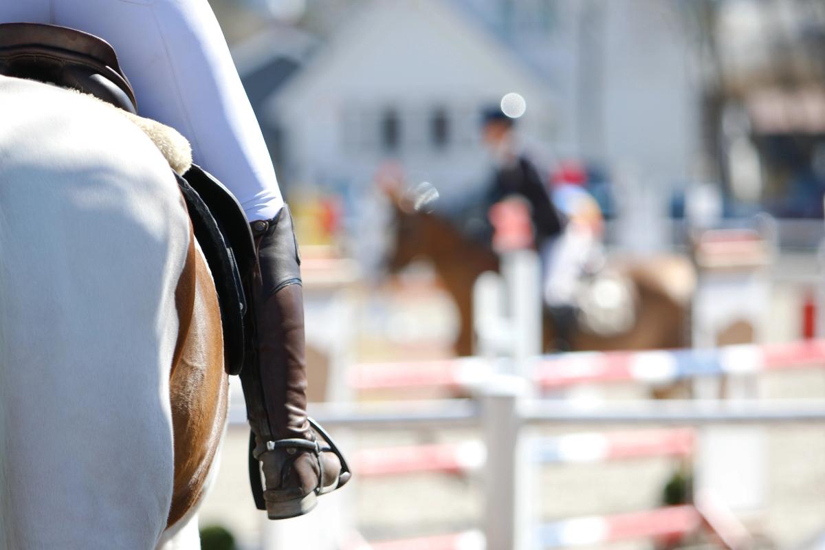 hest / Norges Rytterforbund