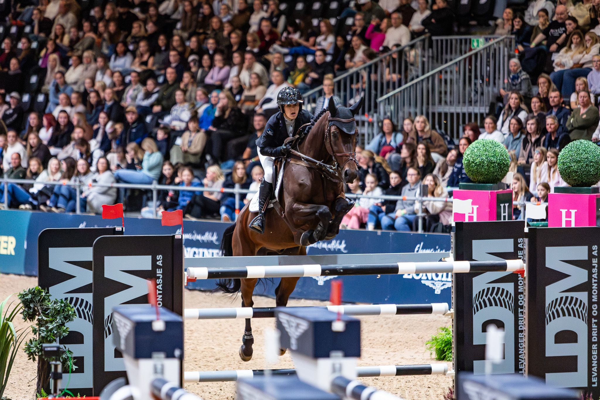 hest / Norges Rytterforbund /sprang / sprangridning / Marit Haarr Skollerud