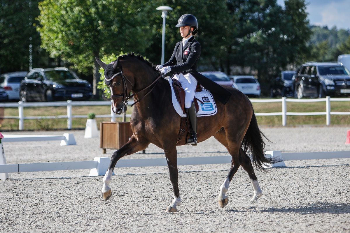 hest / Norges Rytterforbund