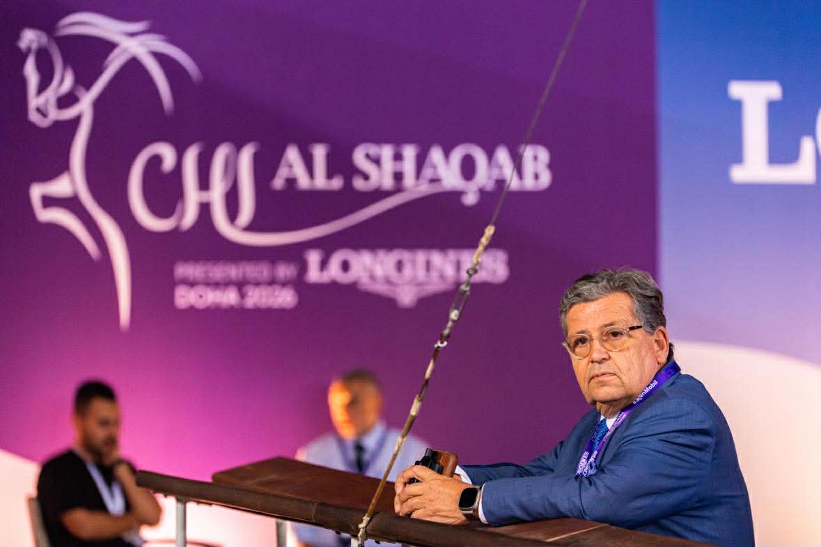 hest / Norges Rytterforbund / Carsten Sørlie