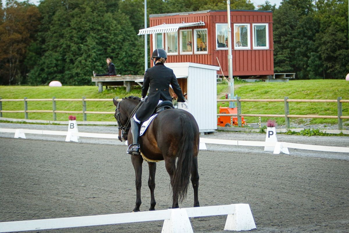 hest / Norges Rytterforbund