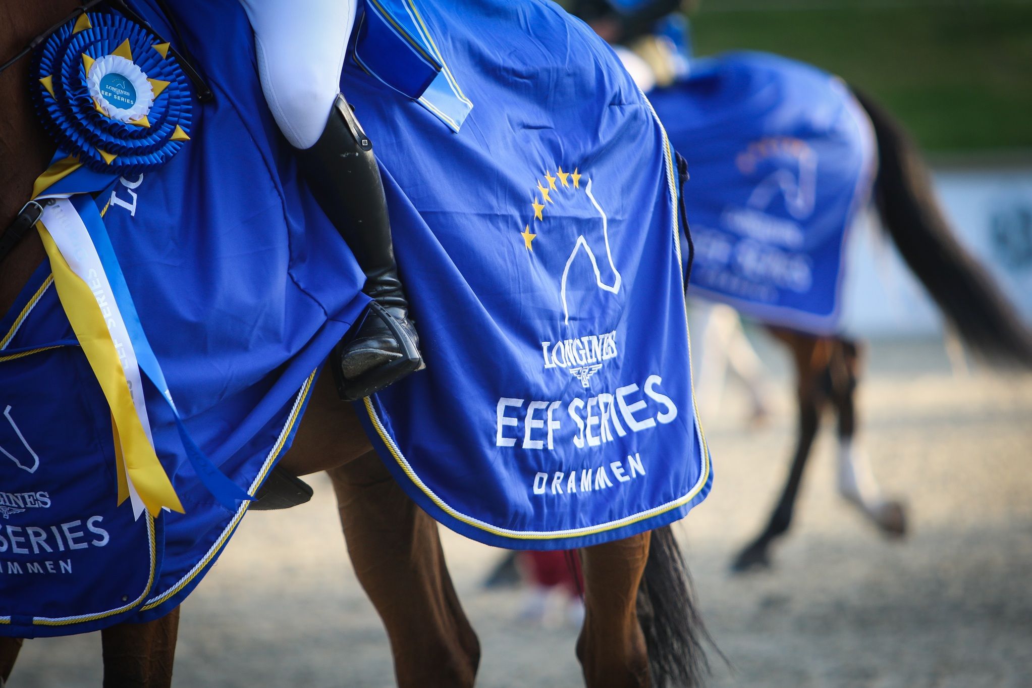 hest / Norges Rytterforbund 