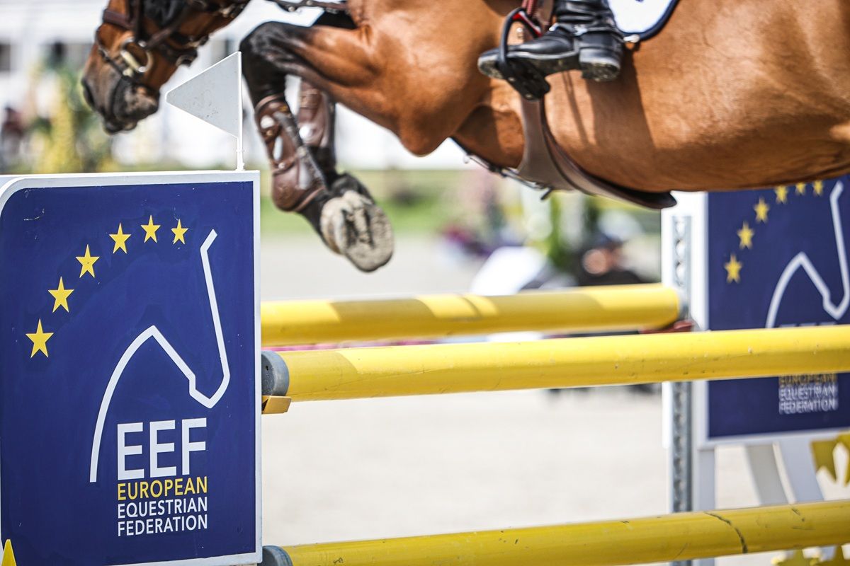 hest / Norges Rytterforbund 