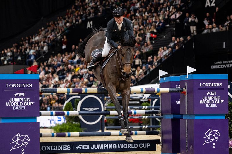 hest / Norges Rytterforbund