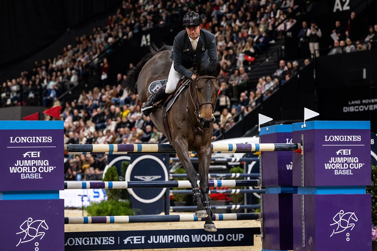 hest / Norges Rytterforbund