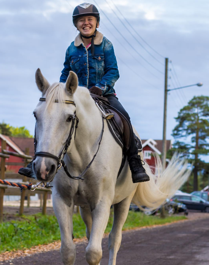 Hest funksjonshemmet BPA funksjonsvariasjon