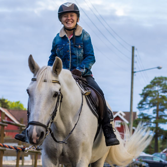 Hest funksjonshemmet BPA funksjonsvariasjon