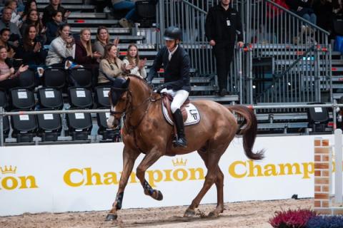 hest / Norges Rytterforbund / Johan-Sebastian Gulliksen
