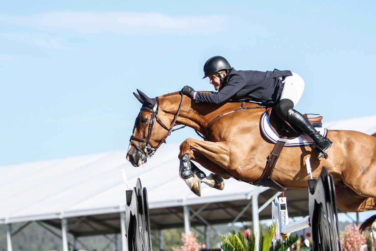 hest / Norges Rytterforbund