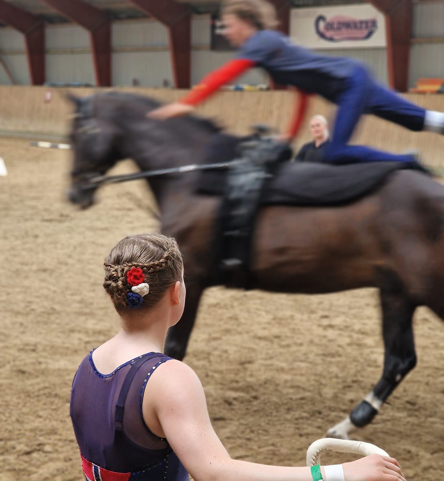 hest / Norges Rytterforbund