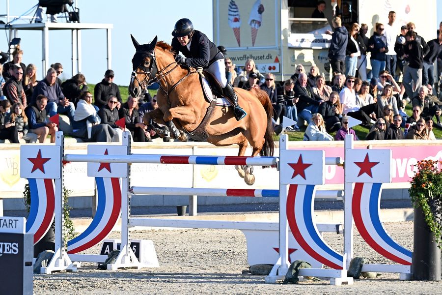 hest / Norges Rytterforbund