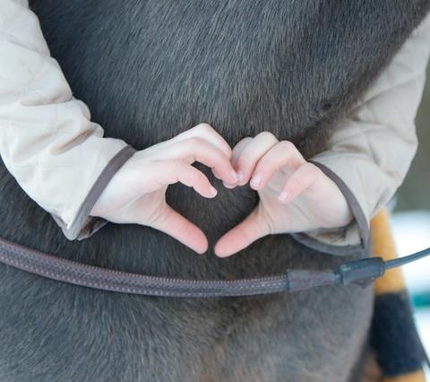 hest / Norges Rytterforbund