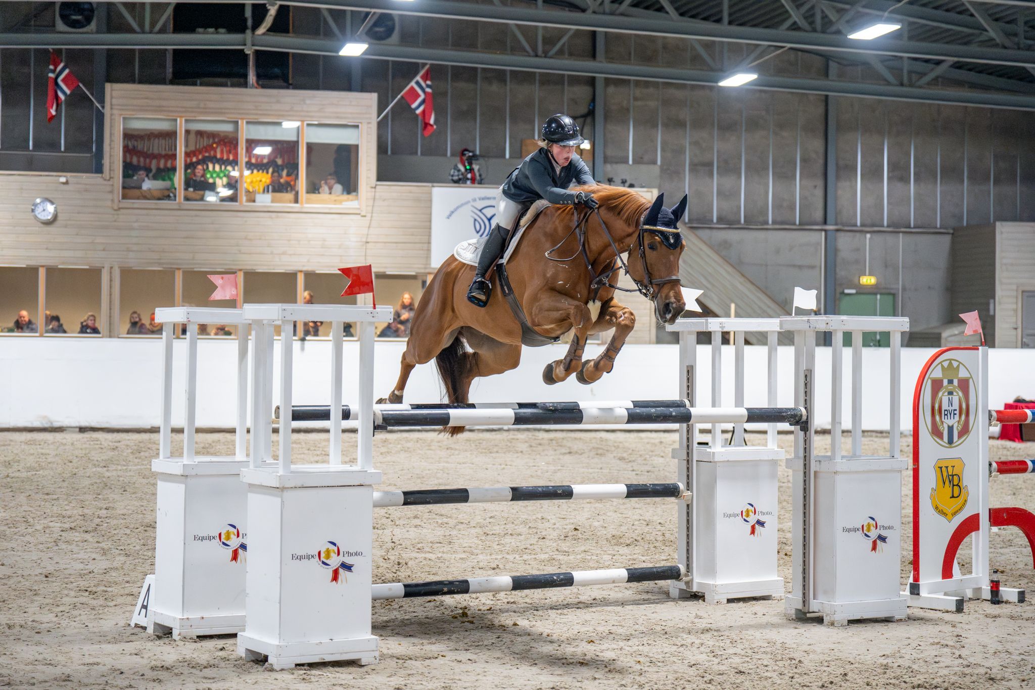 sprang / hest / sprangridning / Mira Høidal