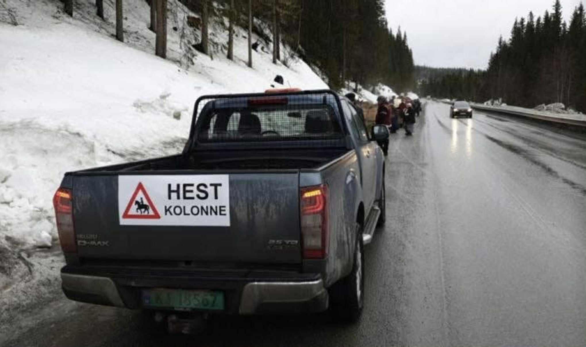 hest / Norges Rytterforbund / lasskjører / Rørosmartnan