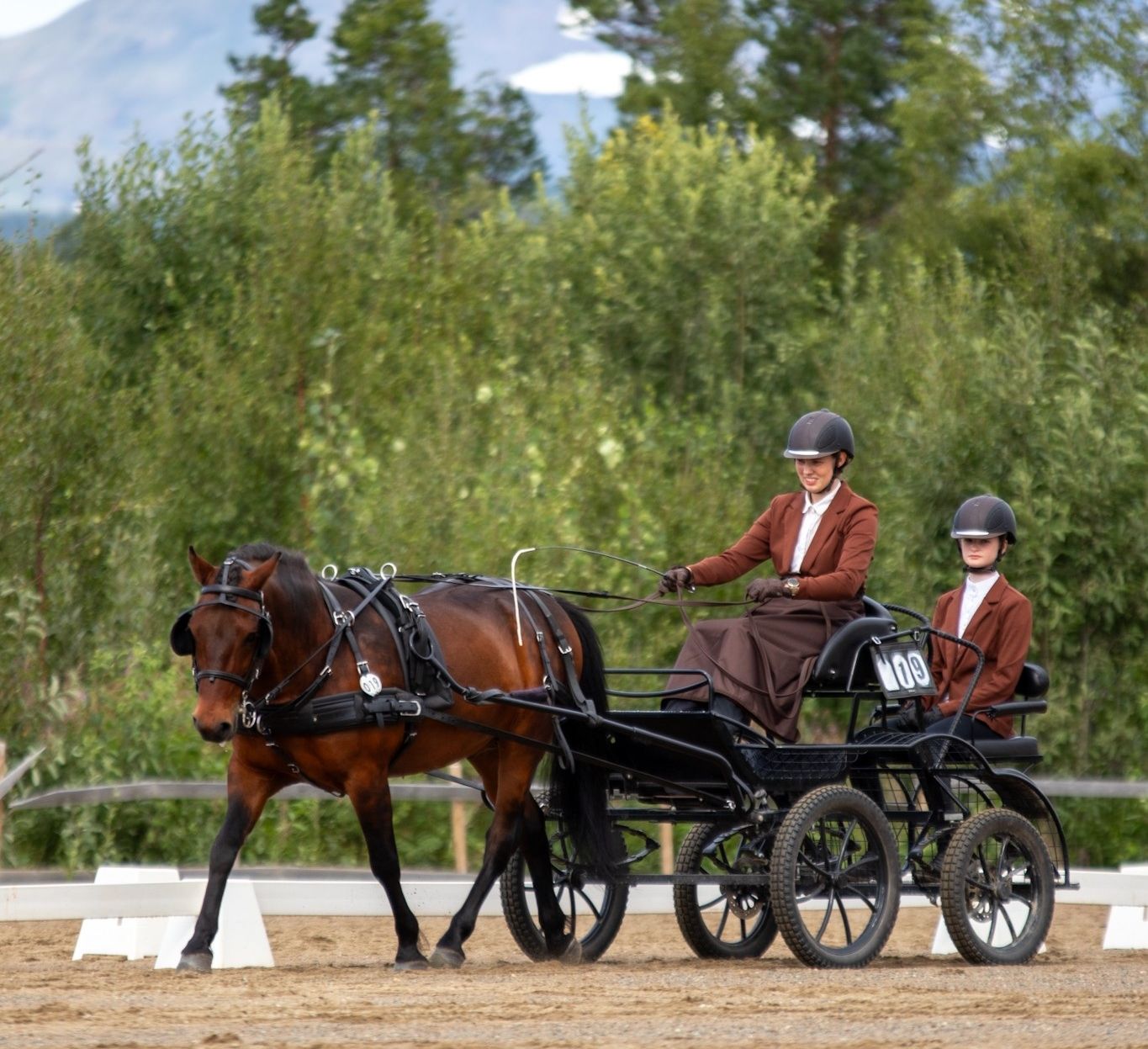 hest / Norges Rytterforbund 