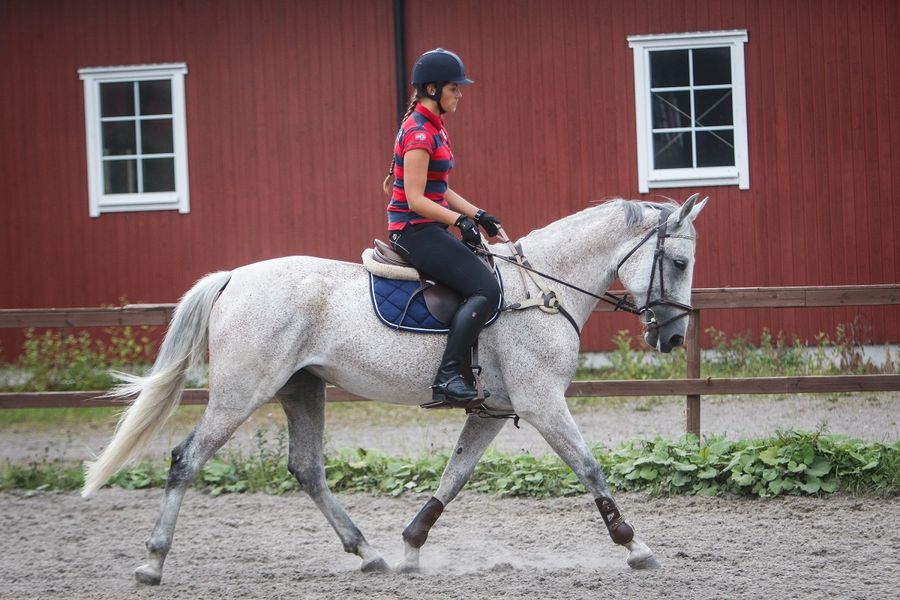 Jeanette Hegg Duestad / skytter / skyting / hest / ridning / Norges Rytterforbund