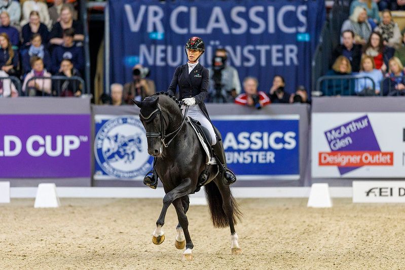 hest / Norges Rytterforbund / Isabel Freese