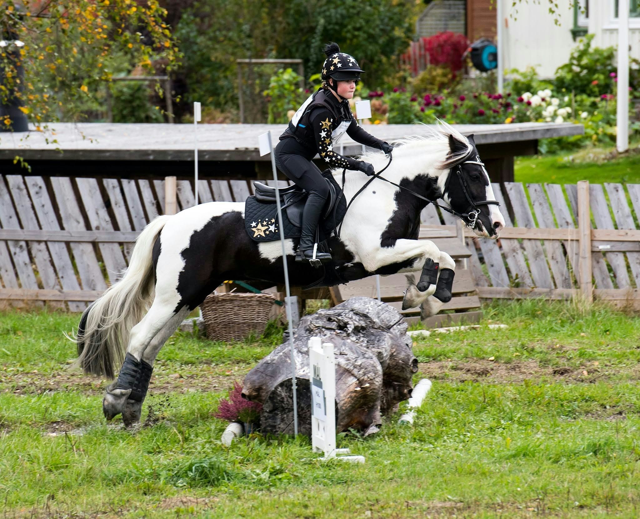 hest / Norges Rytterforbund / lag-NM / feltritt / ponni