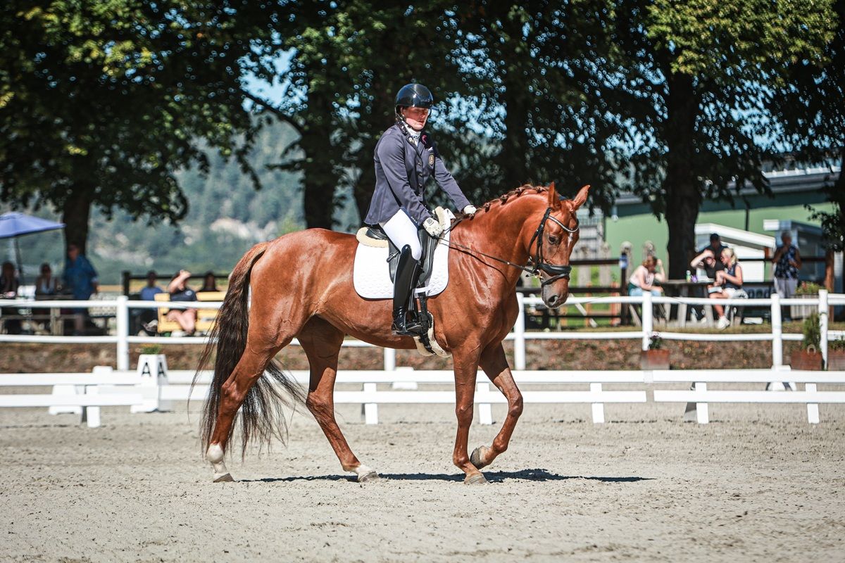 hest / Norges Rytterforbund 