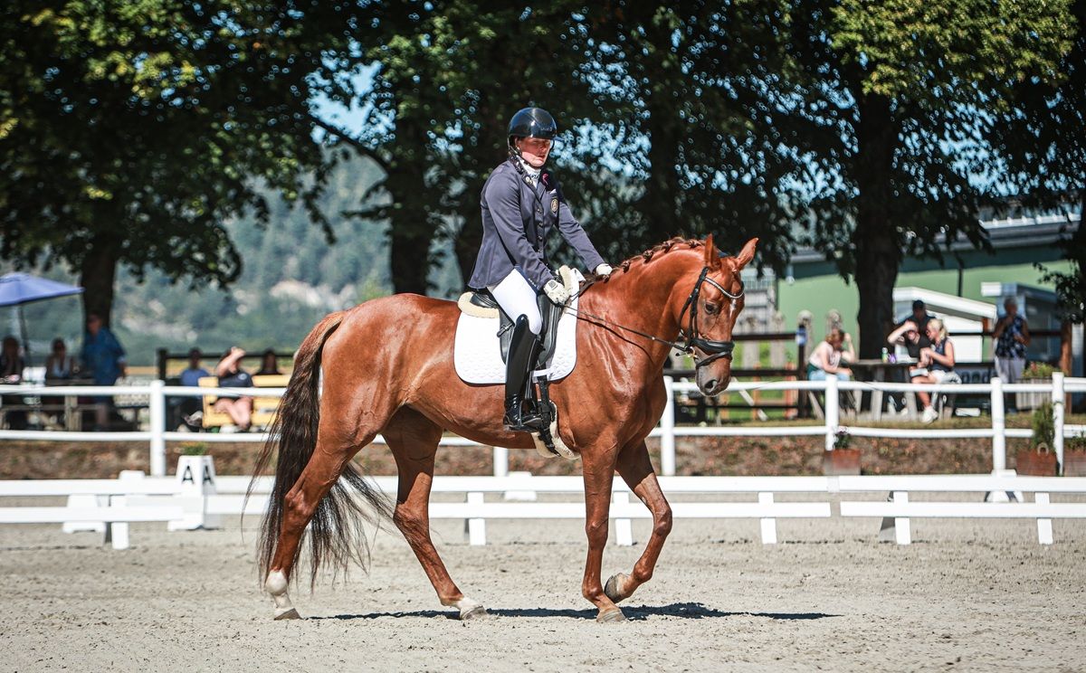 hest / Norges Rytterforbund 