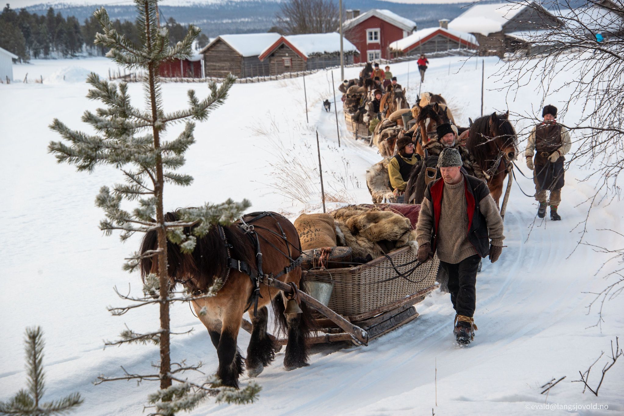 hest / Norges Rytterforbund / lasskjører / Rørosmartnan