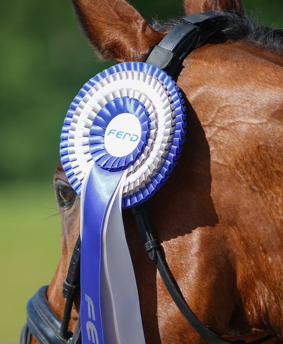 -Dette er veldig positivt for rytter-Norge, sier Anine om FERD Comeback Cup - der de flotte sløyfene selvsagt deles ut ikke bare til finalistene, men også til samtlige deltagere.. (Foto: NRYF)