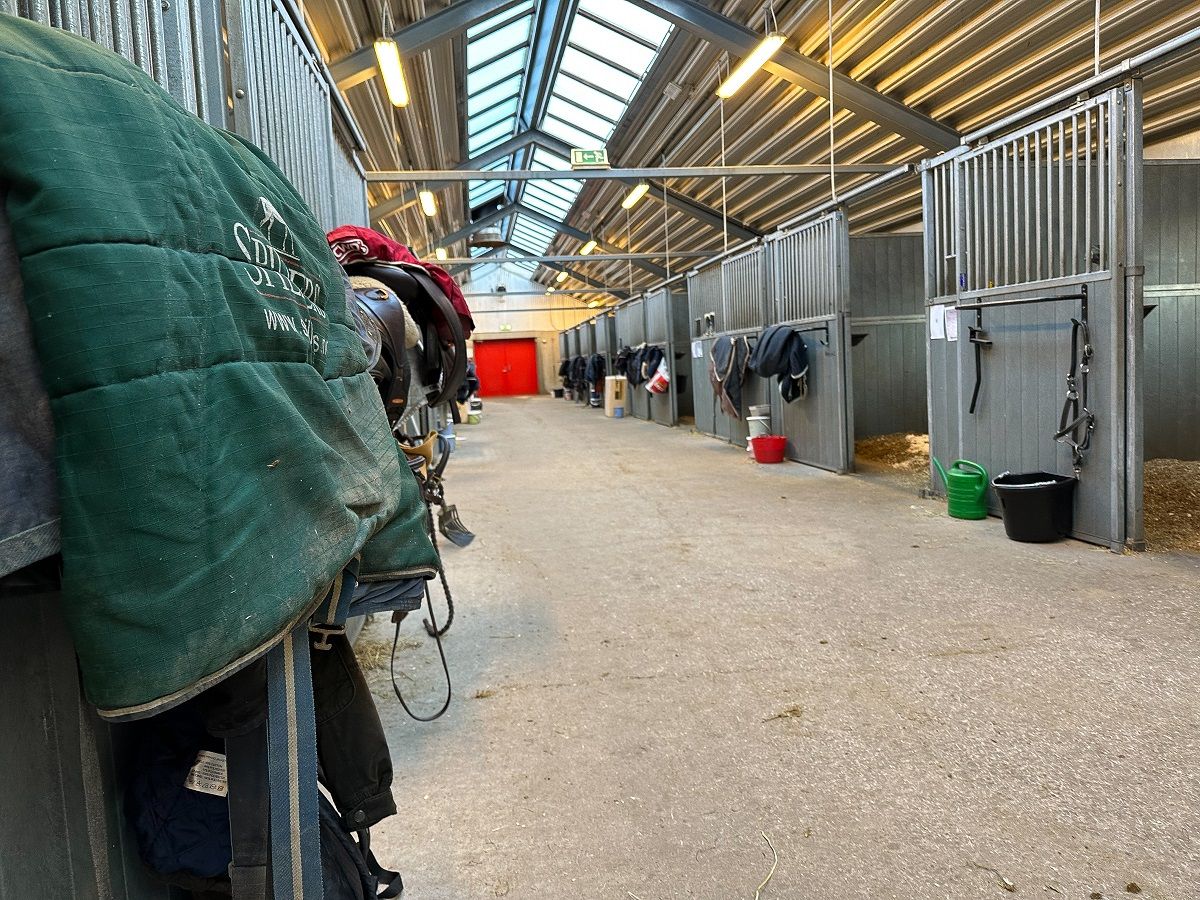 stall / hest / Norges Rytterforbund