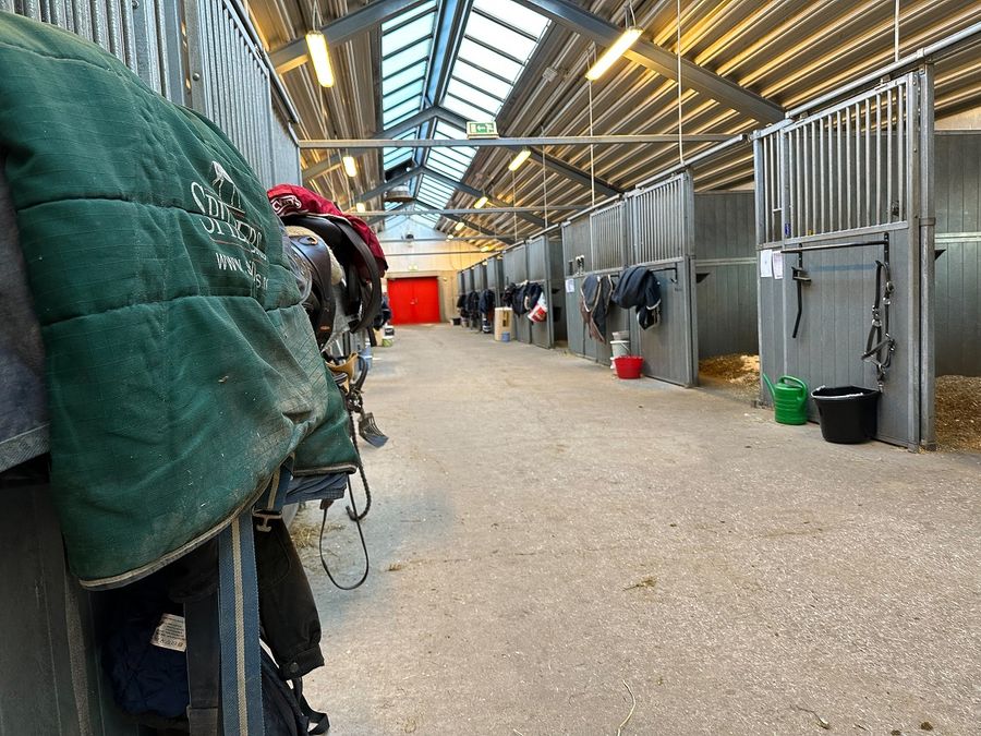 hest / anlegg / Norges Rytterforbund