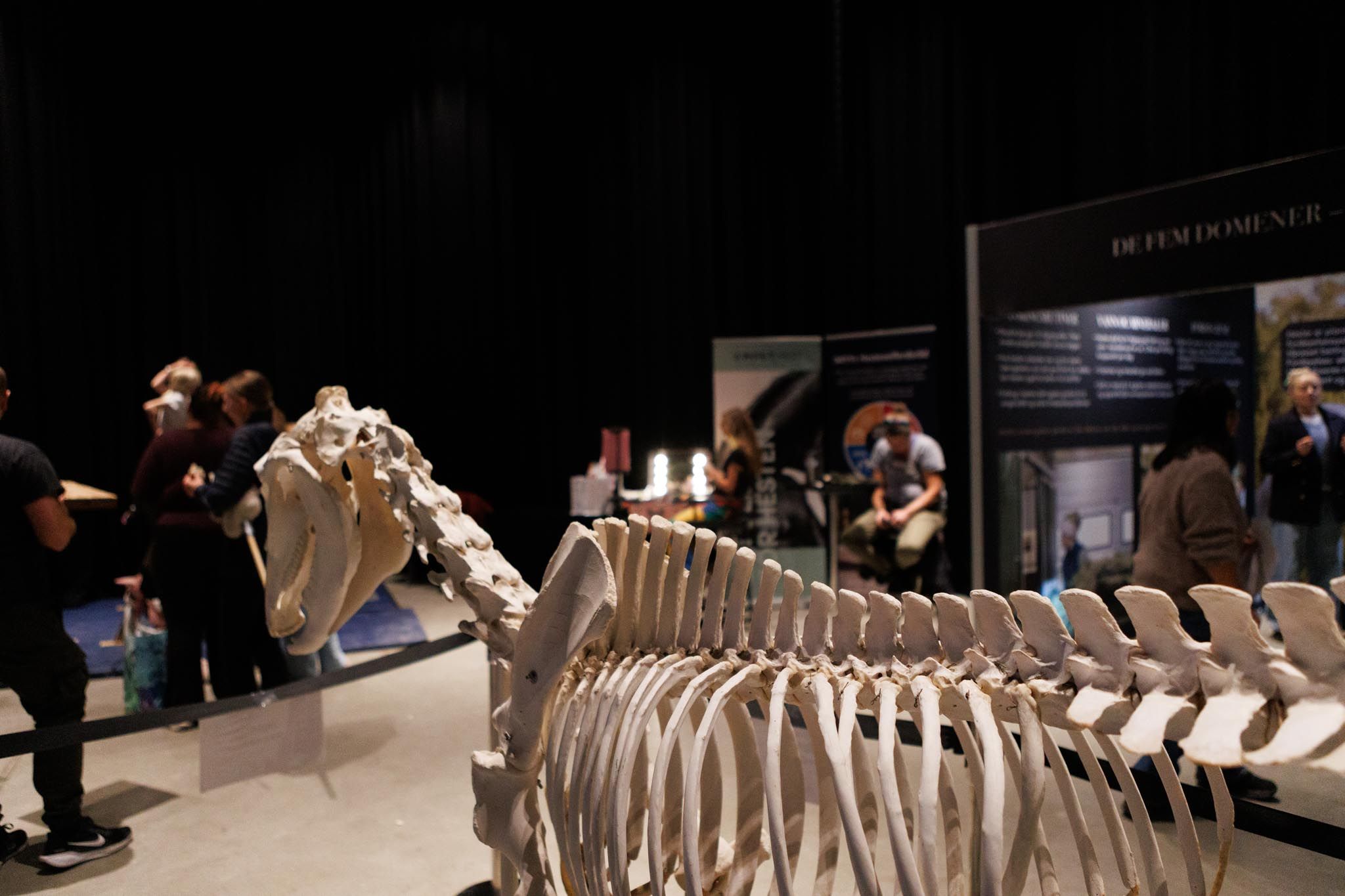 hest / Norges Rytterforbund / Hestevelferd for alle