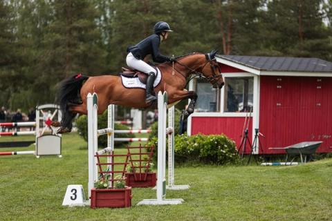 hest / Norges Rytterforbund