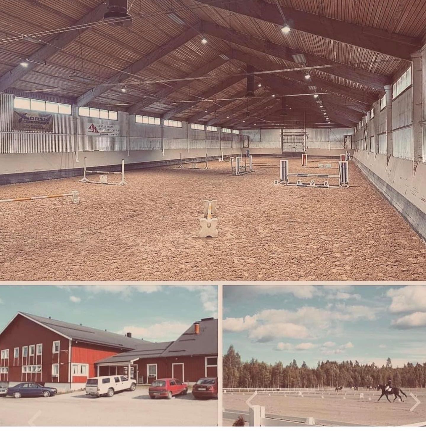 hest / Norges Rytterforbund