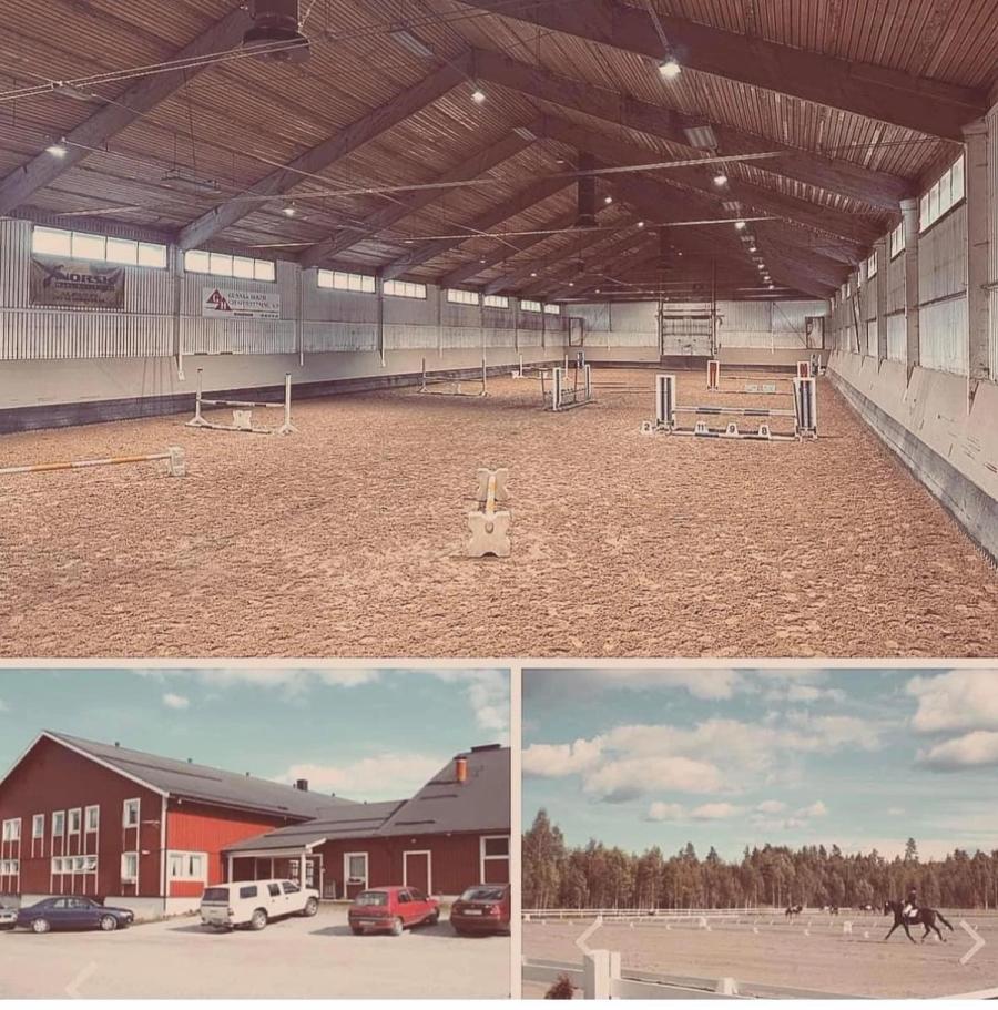 hest / Norges Rytterforbund