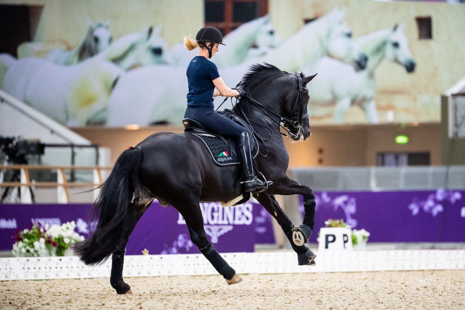 hest / Norges Rytterforbund / Isabel Freese