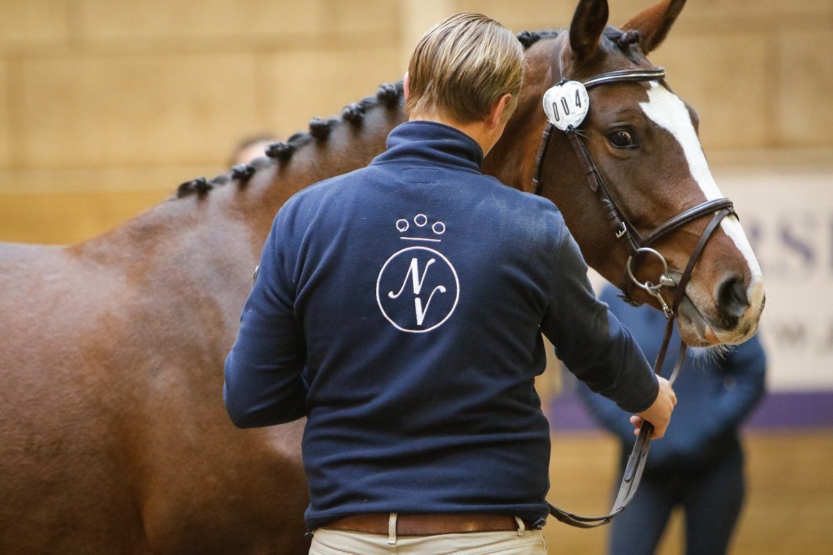 hest / Norges Rytterforbund