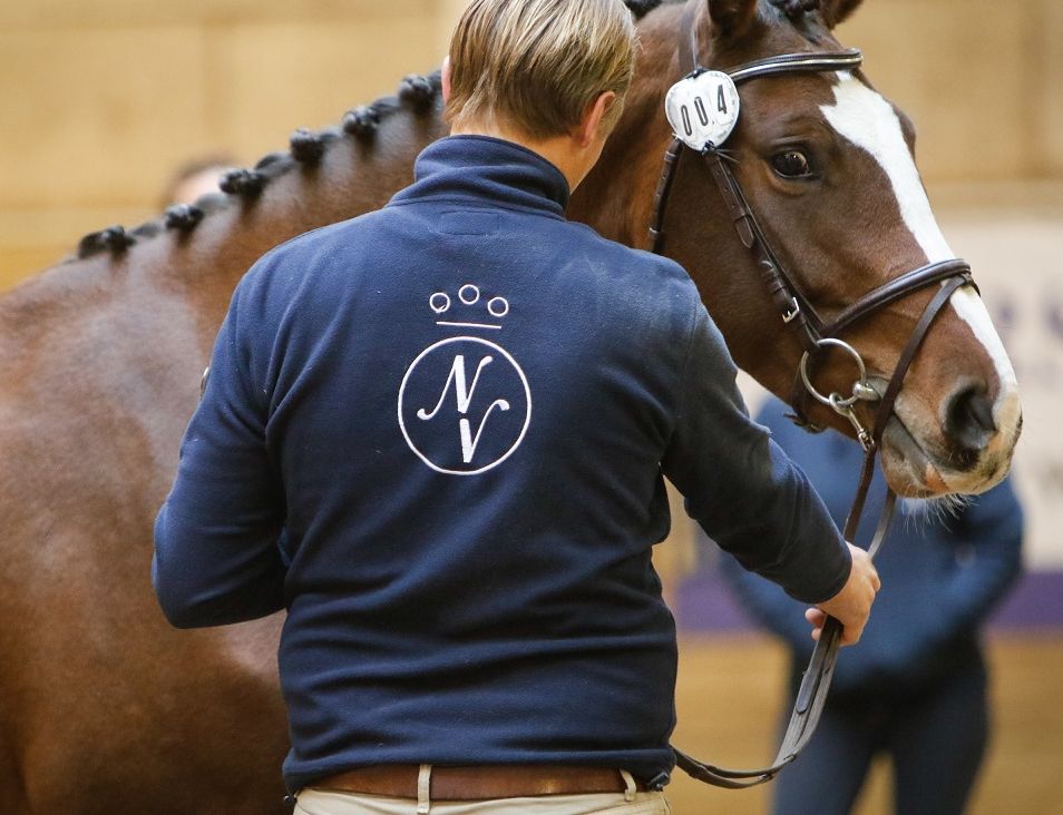 hest / Norges Rytteforbund