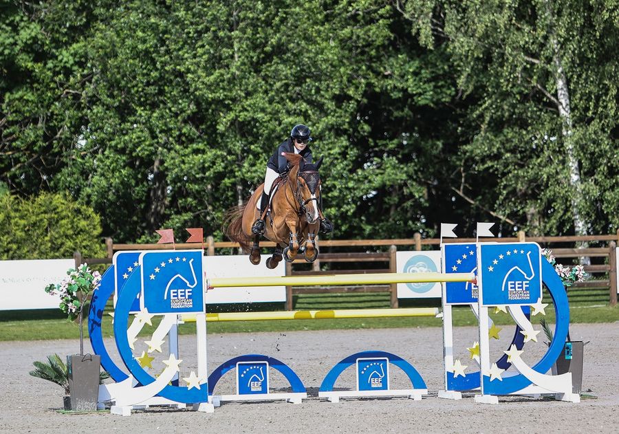 hest / Norges Rytterforbund