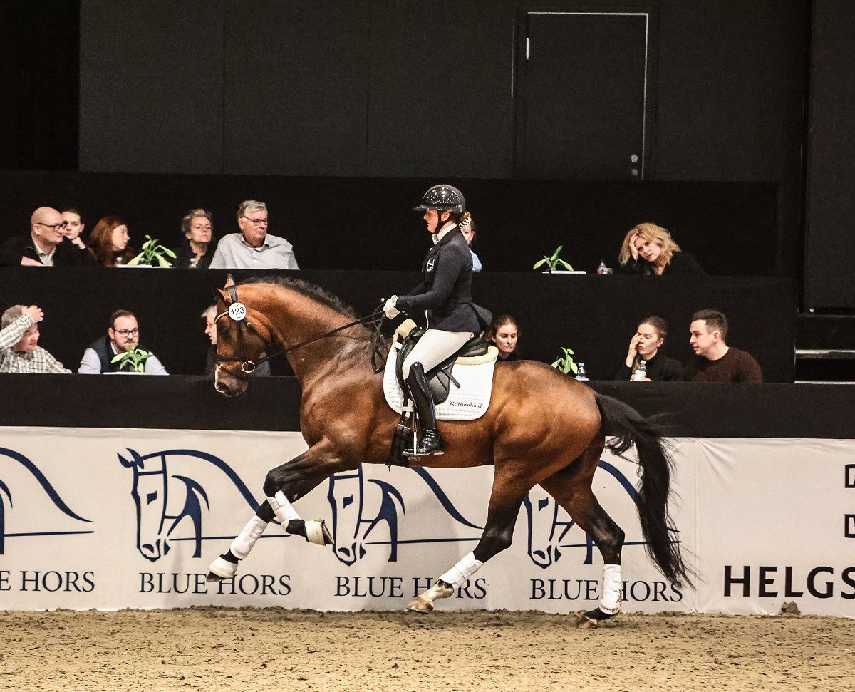 hest / Norges Rytterforbund