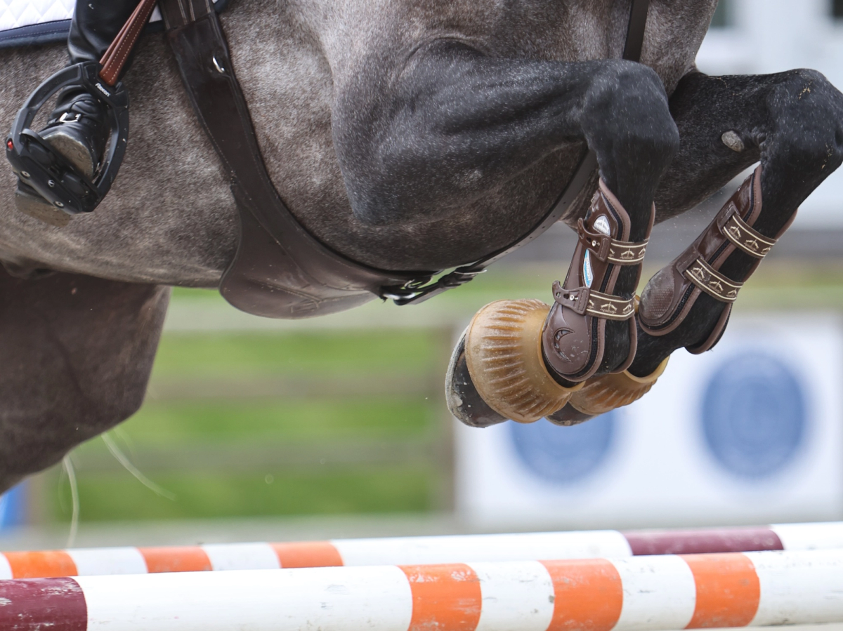 hest / Norges Rytterforbund / sprang