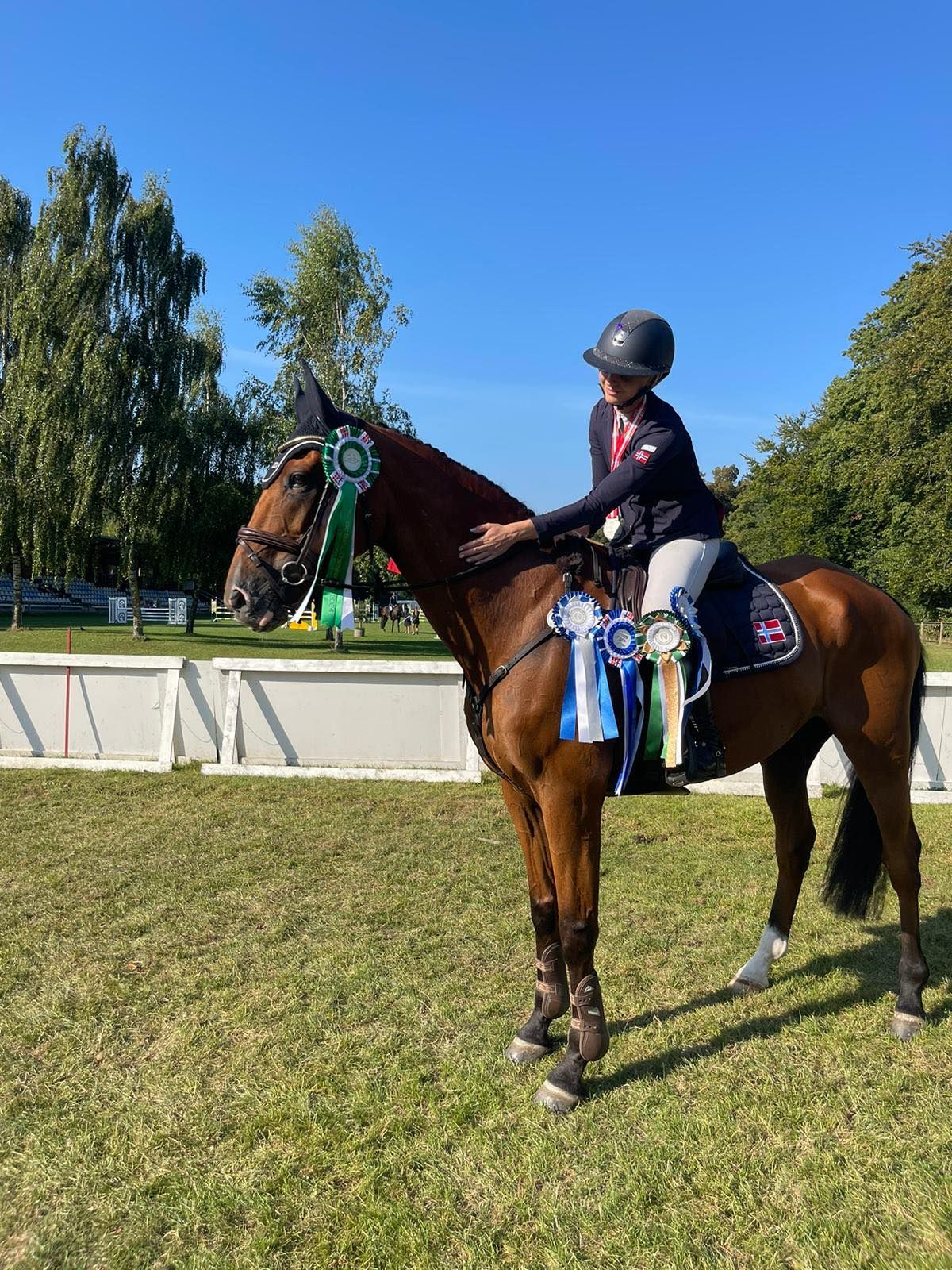 hest / Norges Rytterforbund