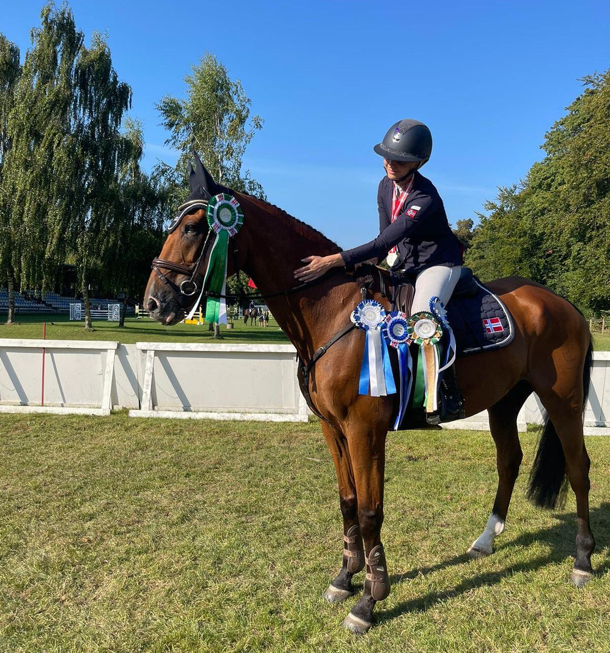 hest / Norges Rytterforbund