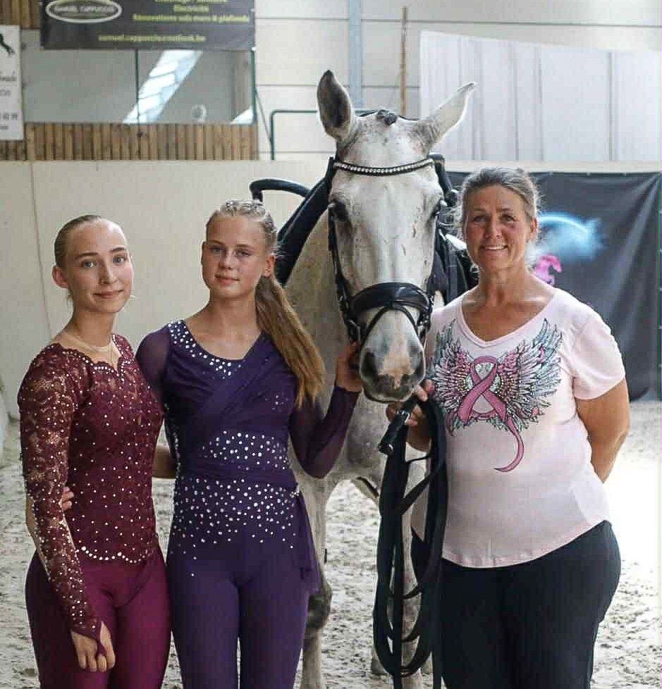 hest / Norges Rytterforbund