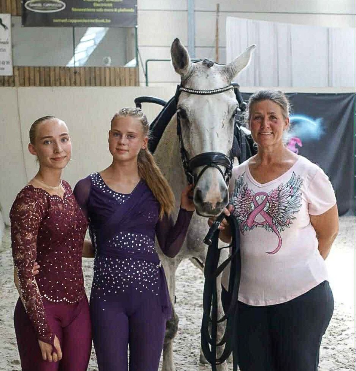 hest / Norges Rytterforbund 