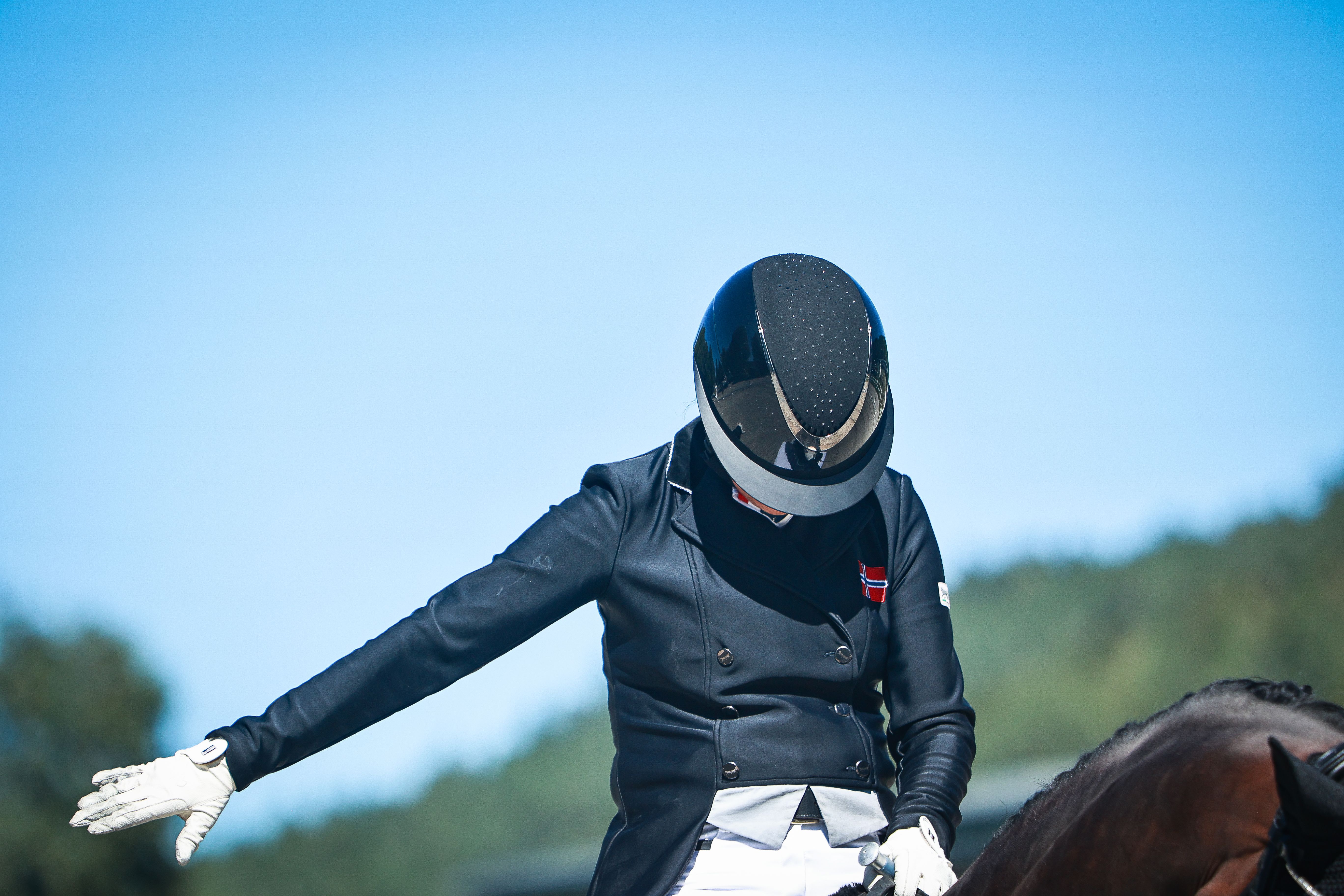 hest / Norges Rytterforbund 