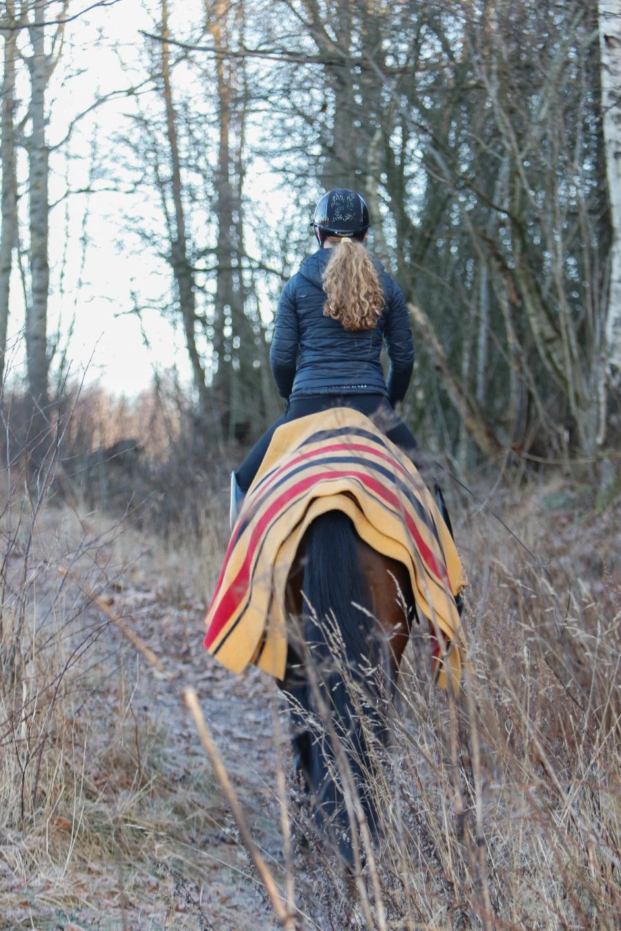 hest / Norges Rytterforbund