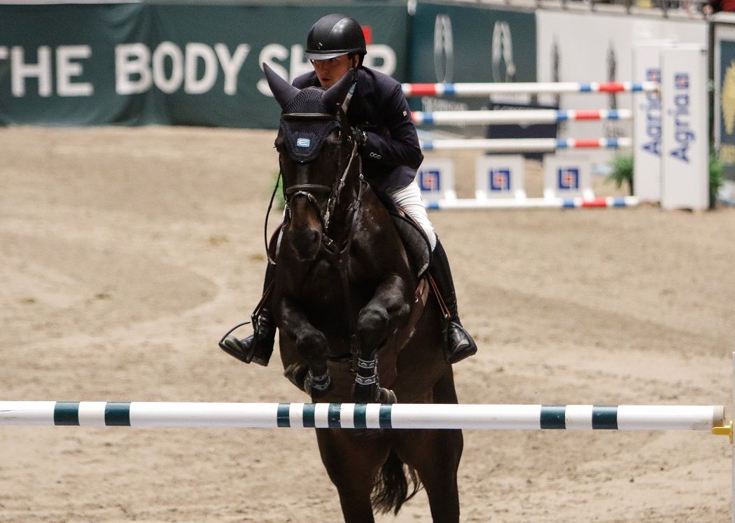 sprang / Norges Rytterforbund / hest