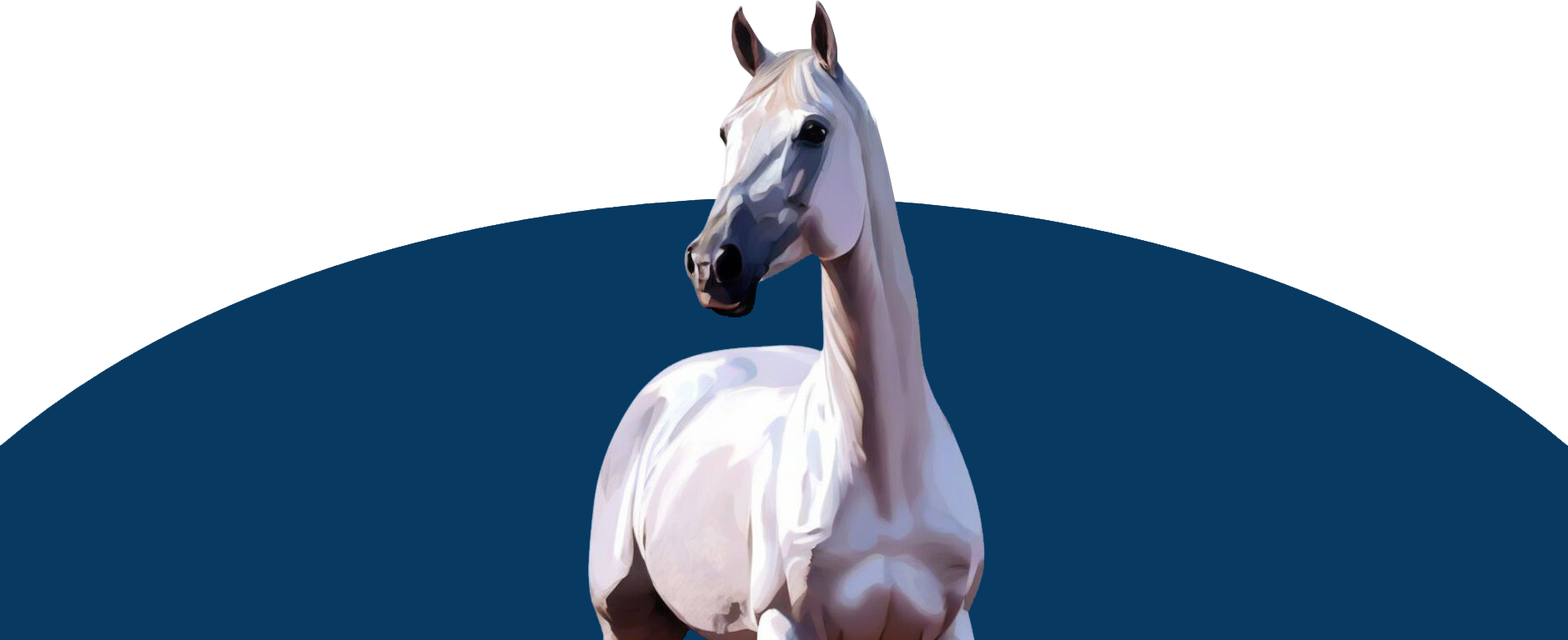 Samling uten hest / NRYF