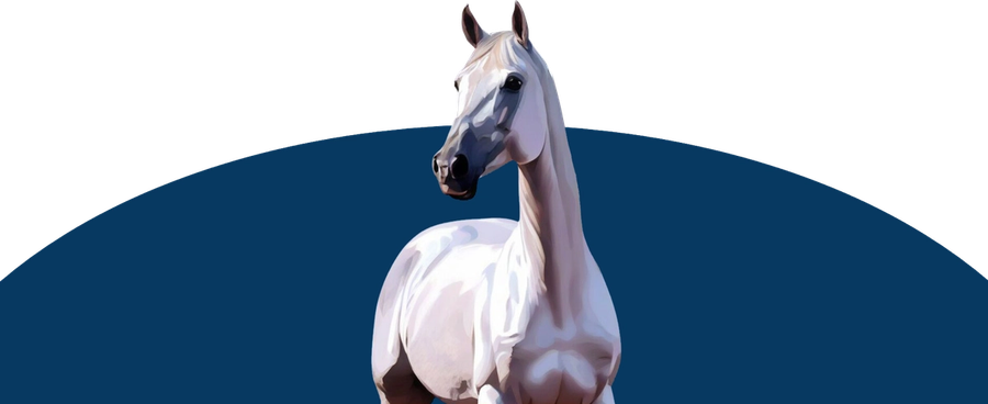 Samling uten hest / NRYF