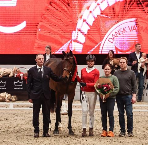 hest / Norges Rytterforbund