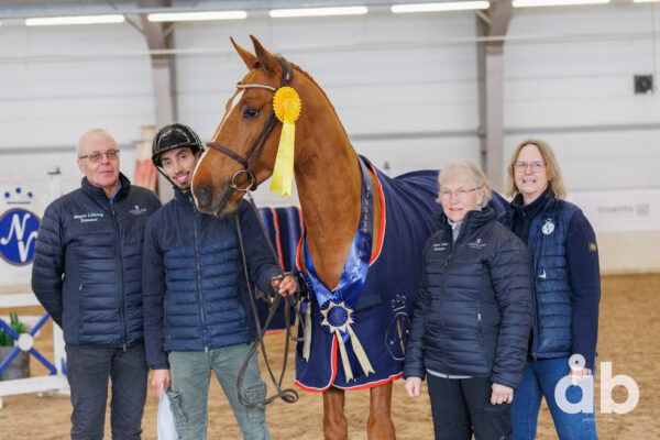 hest / Norges Rytterforbund