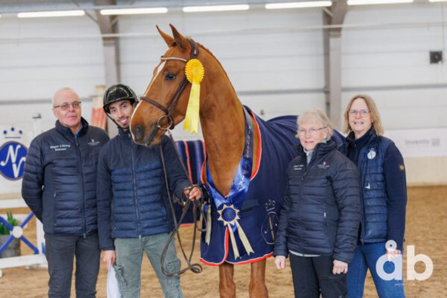 hest / Norges Rytterforbund